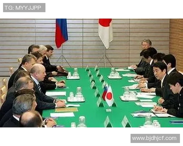 全球视角下的俄罗斯挑战与应对全世界的复杂关系解析