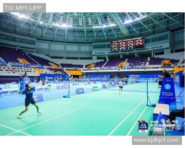 羽毛球巨献：深入分析深圳羽毛球队运动员的个人技术与战术能力